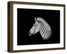 A Monochrome Side Profile Head Portrait of a Burchell's Zebra-Cathy Withers-Clarke-Framed Photographic Print