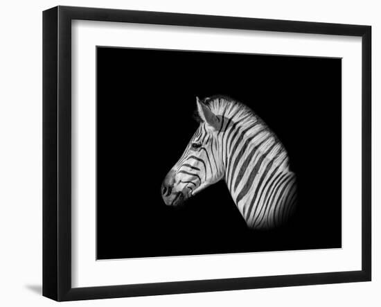 A Monochrome Side Profile Head Portrait of a Burchell's Zebra-Cathy Withers-Clarke-Framed Photographic Print