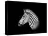 A Monochrome Side Profile Head Portrait of a Burchell's Zebra-Cathy Withers-Clarke-Stretched Canvas