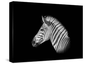 A Monochrome Side Profile Head Portrait of a Burchell's Zebra-Cathy Withers-Clarke-Stretched Canvas