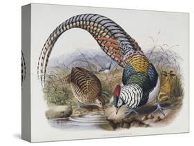 A Monograph of the Phasianidae or Family of Pheasants, 1872-Daniel Giraud Elliot-Stretched Canvas