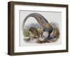 A Monograph of the Phasianidae or Family of Pheasants, 1872-Daniel Giraud Elliot-Framed Giclee Print