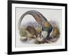 A Monograph of the Phasianidae or Family of Pheasants, 1872-Daniel Giraud Elliot-Framed Giclee Print