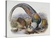 A Monograph of the Phasianidae or Family of Pheasants, 1872-Daniel Giraud Elliot-Stretched Canvas