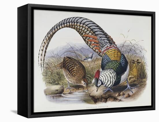 A Monograph of the Phasianidae or Family of Pheasants, 1872-Daniel Giraud Elliot-Framed Stretched Canvas