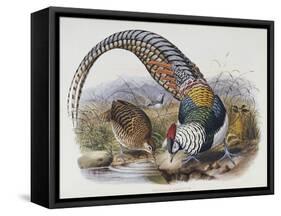 A Monograph of the Phasianidae or Family of Pheasants, 1872-Daniel Giraud Elliot-Framed Stretched Canvas