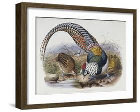 A Monograph of the Phasianidae or Family of Pheasants, 1872-Daniel Giraud Elliot-Framed Giclee Print