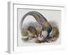 A Monograph of the Phasianidae or Family of Pheasants, 1872-Daniel Giraud Elliot-Framed Giclee Print