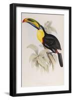 A Monograph of the Ramphastidae or Family of Toucans, 1834-John Gould-Framed Giclee Print