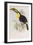 A Monograph of the Ramphastidae or Family of Toucans, 1834-John Gould-Framed Giclee Print