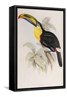 A Monograph of the Ramphastidae or Family of Toucans, 1834-John Gould-Framed Stretched Canvas