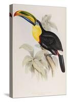 A Monograph of the Ramphastidae or Family of Toucans, 1834-John Gould-Stretched Canvas
