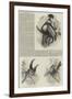 A Monograph of the Toucans, or Ramphastidae-null-Framed Giclee Print