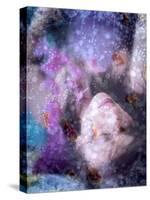 A Montage of a Portrait of a Woman, Flowers and Texture-Alaya Gadeh-Stretched Canvas