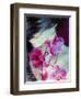 A Montage of a Portrait of a Woman with Pink Orchids and Texture-Alaya Gadeh-Framed Photographic Print