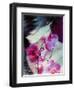 A Montage of a Portrait of a Woman with Pink Orchids and Texture-Alaya Gadeh-Framed Photographic Print