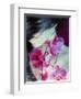 A Montage of a Portrait of a Woman with Pink Orchids and Texture-Alaya Gadeh-Framed Photographic Print