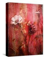 A Montage of Acre Flowers-Alaya Gadeh-Stretched Canvas