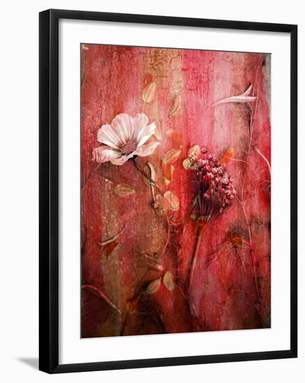 A Montage of Acre Flowers-Alaya Gadeh-Framed Photographic Print