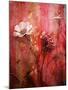 A Montage of Acre Flowers-Alaya Gadeh-Mounted Photographic Print