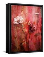 A Montage of Acre Flowers-Alaya Gadeh-Framed Stretched Canvas