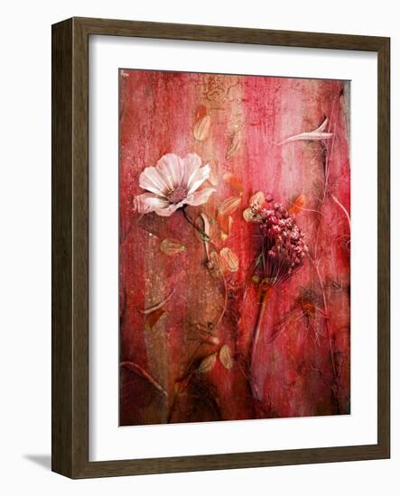 A Montage of Acre Flowers-Alaya Gadeh-Framed Photographic Print