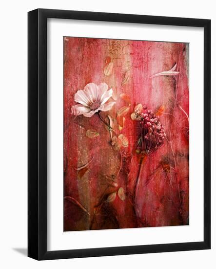 A Montage of Acre Flowers-Alaya Gadeh-Framed Photographic Print