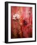 A Montage of Acre Flowers-Alaya Gadeh-Framed Photographic Print