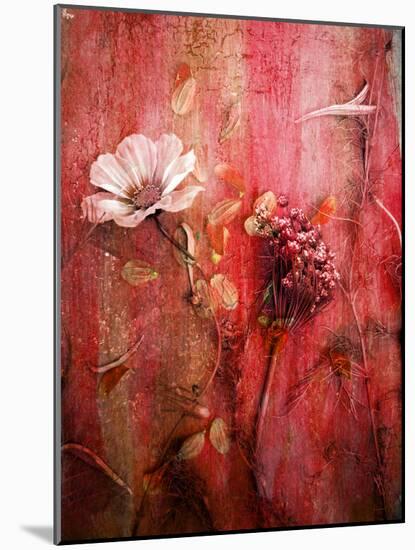 A Montage of Acre Flowers-Alaya Gadeh-Mounted Photographic Print