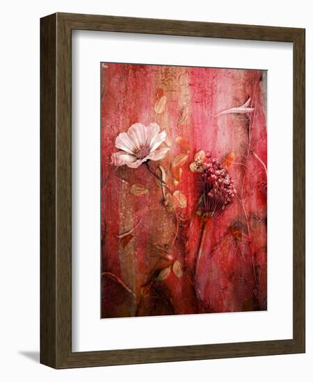 A Montage of Acre Flowers-Alaya Gadeh-Framed Photographic Print