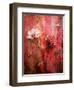 A Montage of Acre Flowers-Alaya Gadeh-Framed Photographic Print