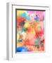 A Montage of Colorful Flowers and Petals-Alaya Gadeh-Framed Photographic Print