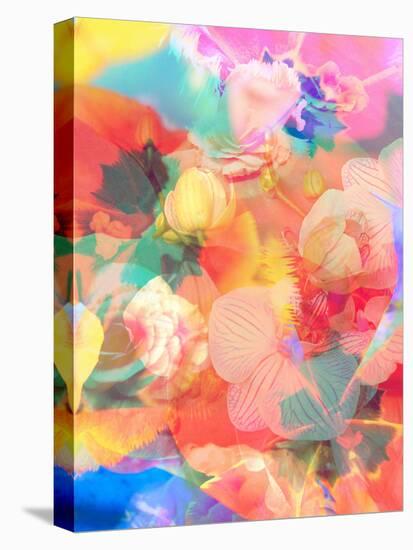 A Montage of Colorful Flowers and Petals-Alaya Gadeh-Stretched Canvas