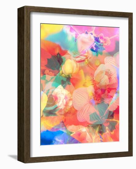 A Montage of Colorful Flowers and Petals-Alaya Gadeh-Framed Photographic Print