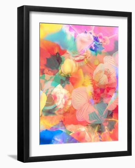 A Montage of Colorful Flowers and Petals-Alaya Gadeh-Framed Photographic Print