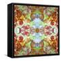 A Montage of Flowers and Seashells Turned into a Mandala-Alaya Gadeh-Framed Stretched Canvas