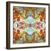 A Montage of Flowers and Seashells Turned into a Mandala-Alaya Gadeh-Framed Photographic Print
