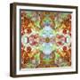 A Montage of Flowers and Seashells Turned into a Mandala-Alaya Gadeh-Framed Photographic Print