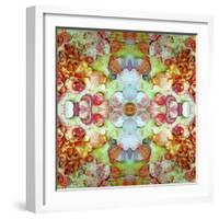 A Montage of Flowers and Seashells Turned into a Mandala-Alaya Gadeh-Framed Photographic Print