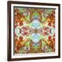 A Montage of Flowers and Seashells Turned into a Mandala-Alaya Gadeh-Framed Photographic Print