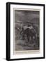 A Moonlight Bivouac, a Real Though Unconventional Experience-John Charlton-Framed Giclee Print