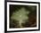 A Moonlit Cove-Sebastian Pether-Framed Giclee Print