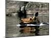 A Moose Cools Off-null-Mounted Photographic Print