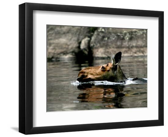 Premium Photographic Print, , large