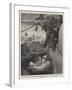 A Morning Bath-William Small-Framed Giclee Print