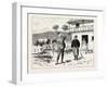 A Morning Ride in Athens-null-Framed Giclee Print