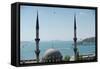 A Mosque in Istanbul of Turkey-null-Framed Stretched Canvas