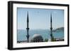 A Mosque in Istanbul of Turkey-null-Framed Photo