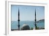 A Mosque in Istanbul of Turkey-null-Framed Photo