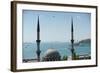 A Mosque in Istanbul of Turkey-null-Framed Photo